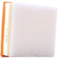 PURFLUX Luftfilter Filtereinsatz A1538 Motorluftfilter,Filter für Luft BMW,1 Schrägheck (F20),3 Touring (F31),3 Limousine (F30, F80) PURFLUX Luftfilter Filtereinsatz A1538 Motorluftfilter,Filter für Luft BMW,1 Schrägheck (F20),3 Touring (F31),3 Limousine (F30, F80) von PURFLUX