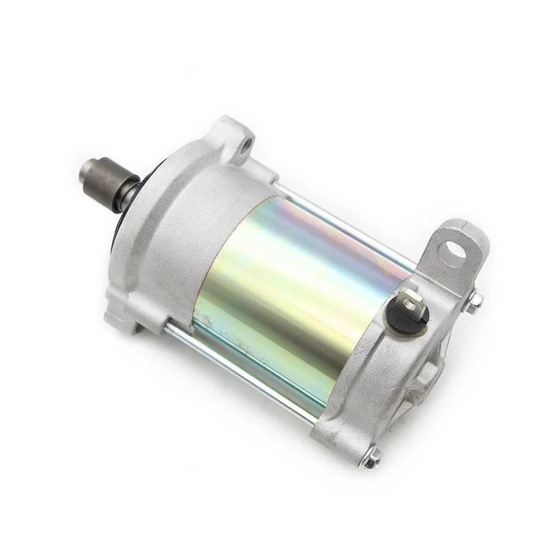 Starter Motor 428000-8971 Für Taiga Für Patrul 550 551 SWT Varyag 500/Classic Kawarara 550 V Schneemobil Elektrischer Anlasser Anlasser Motor von PaCsci