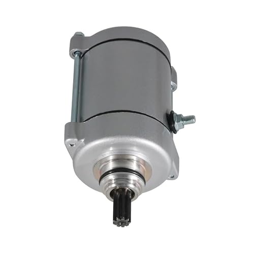 Starter Motor Für Daelim Für VJF125 VS125 VC125 VT125 DAE-31200-BA7-9000 31200-BA7-9000 Anlasser Anlasser Motor von PaCsci