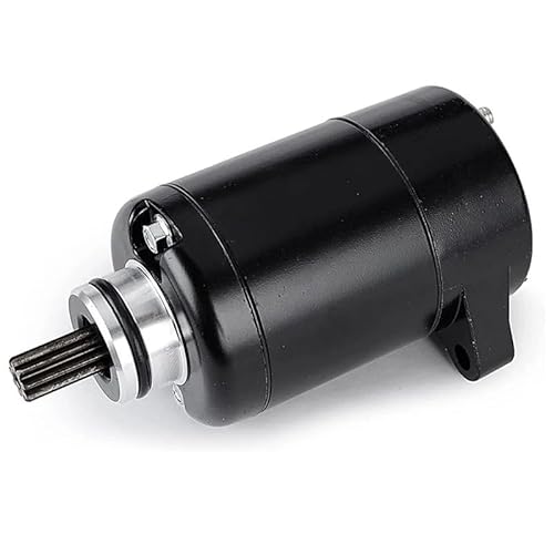 Starter Motor Motorrad-Startermotor Für Motorräder 125 200 Für 125 200 Für 200 2011-2017 Motos 90140001000 Anlasser Motor von PaCsci