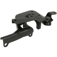 Halter, Kühlergitter PACOL VOL-FP-041L von Pacol