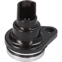 Motordichtung PARSUN F4-04060000 von Parsun
