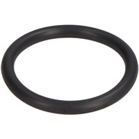 O-Ring-Kraftstoffpumpe PARSUN GB/T3452.1-20.2X2.4 von Parsun