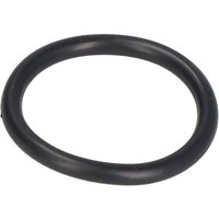 Sockel O-Ring PARSUN JASO-F404-24-021 von Parsun