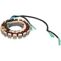 Stator der Lichtmaschine PARSUN F20-05000200 von Parsun