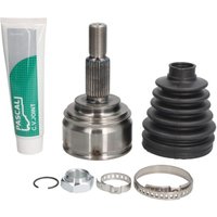 Antriebsgelenk PASCAL G1R055PC Antriebsgelenk PASCAL G1R055PC von Pascal