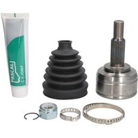 Antriebsgelenk PASCAL G1R056PC Antriebsgelenk PASCAL G1R056PC von Pascal