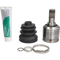 Antriebsgelenk PASCAL G75039PC Antriebsgelenk PASCAL G75039PC von Pascal
