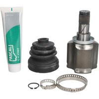 Antriebsgelenk PASCAL G7B021PC Antriebsgelenk PASCAL G7B021PC von Pascal