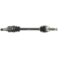 Antriebswelle PASCAL G2G043PC Antriebswelle PASCAL G2G043PC von Pascal