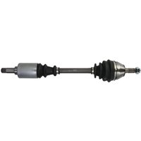 Antriebswelle PASCAL G2P021PC Antriebswelle PASCAL G2P021PC von Pascal