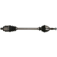 Antriebswelle PASCAL G2R103PC Antriebswelle PASCAL G2R103PC von Pascal