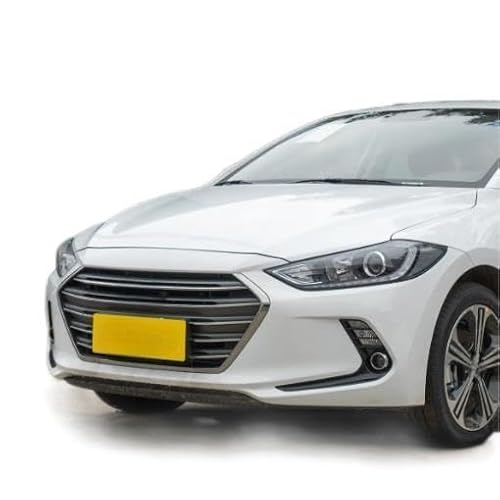 Passion88 Auto Front Grill für Hyundai Elantra 2016-2018, Staubdicht Wasserdicht Sport Front Gitter Kühler Auto Zubehör Passion88 Auto Front Grill für Hyundai Elantra 2016-2018, Staubdicht Wasserdicht Sport Front Gitter Kühler Auto Zubehör von Passion88