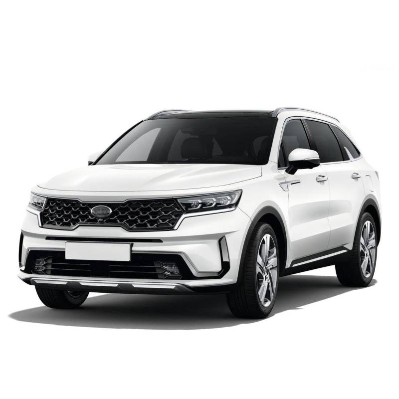 Passion88 Auto Front Grill für Kia Sorento 2021-2023, Staubdicht Wasserdicht Sport Front Gitter Kühler Auto Zubehör,Bright Black von Passion88