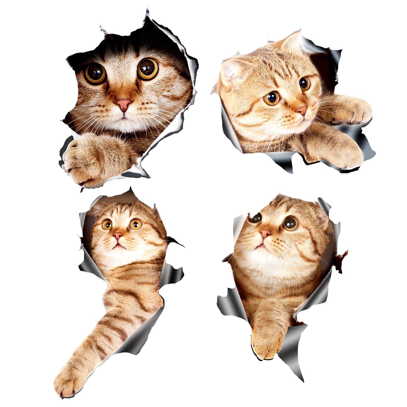 Pesfehhy (4 Stück 3D-Aufkleber für Auto, Katze, Fenster, LKW, Auto, Laptop o Pesfehhy (4 Stück 3D-Aufkleber für Auto, Katze, Fenster, LKW, Auto, Laptop o von Pesfehhy