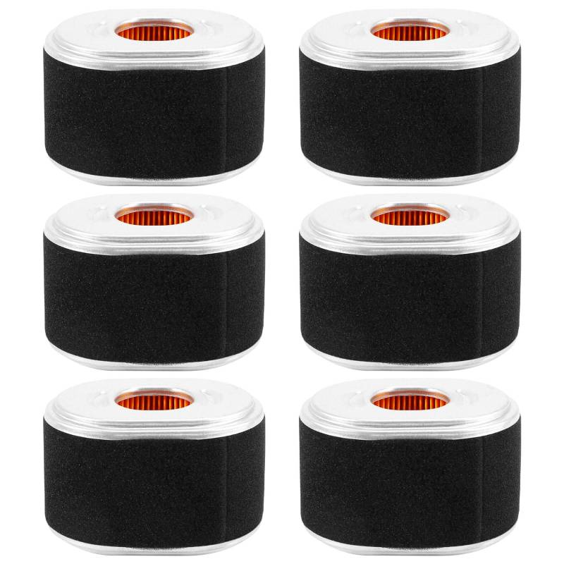 Pesfehhy 6X Luft Filter für GX120 GX140 GX160 GX200 17210-Z4M-821 17210-ZE1-821 111-4274 AFZE18 17210-ZE1-517 5,5/6,5 PS von Pesfehhy