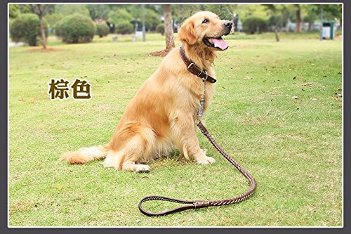Anti-Burst-Burst Mittelgroße Hunde Große Hunde-Rindsleder-Kragen-Hundekette Goldene Haar-Spaziergang Der Hundeseil-Traktionsgurt-Satz, Brown, S- "Seil um 1.15 Meter lang, Kragen für Necks 28 ~ 40Cm" Anti-Burst-Burst Mittelgroße Hunde Große Hunde-Rindsleder-Kragen-Hundekette Goldene Haar-Spaziergang Der Hundeseil-Traktionsgurt-Satz, Brown, S- "Seil um 1.15 Meter lang, Kragen für Necks 28 ~ 40Cm" von Pet leash-SAN