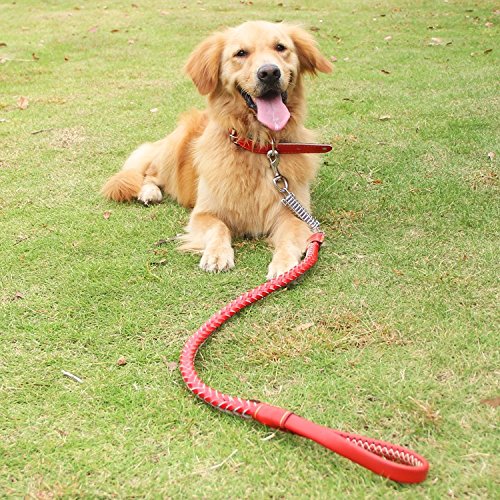 Anti-Burst-Burst-Mittelgroße Hunde Große Hunde-Rindsleder-Kragen-Hundekette Goldenes Haar-Spaziergang Das Hundeseil-Traktionsgürtel-Set, Das Corlor des Roten, M- "Seils um 1.15 Meter lang, Kragen für Necks von Pet leash-SAN