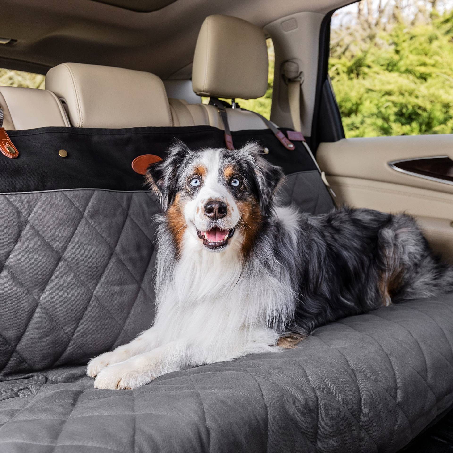PetSafe Happy Ride Gesteppter Sitzbezug für Bank, LKW, Minivan und SUV, gepolsterter Baumwollstoff, strapazierfähiger Fahrzeugsitzschutz, Grau von PetSafe
