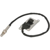 NOx Sensor PETERS 080.887-00 von Peters