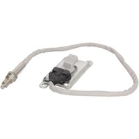 NOx Sensor PETERS 080.891-00 von Peters
