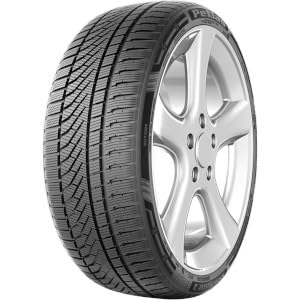 225/40WR19 PETLAS TL SNOWMASTER 2 SPORT XL (NEU) 93W von Petlas
