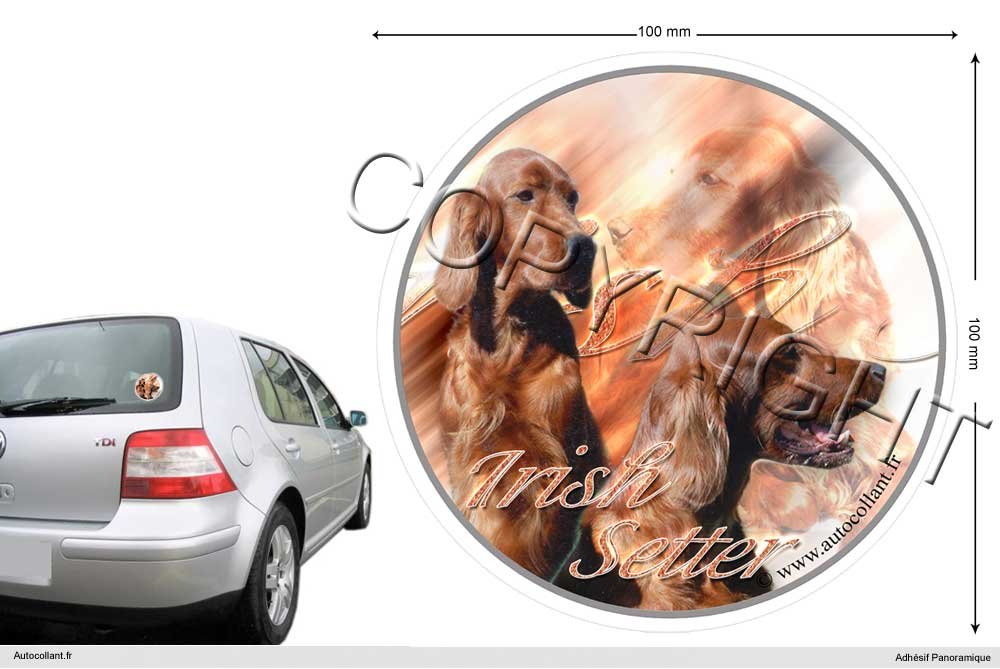 Circular Aufkleber Hund 10 cm Irish Red Setter Circular Aufkleber Hund 10 cm Irish Red Setter von Pets-easy