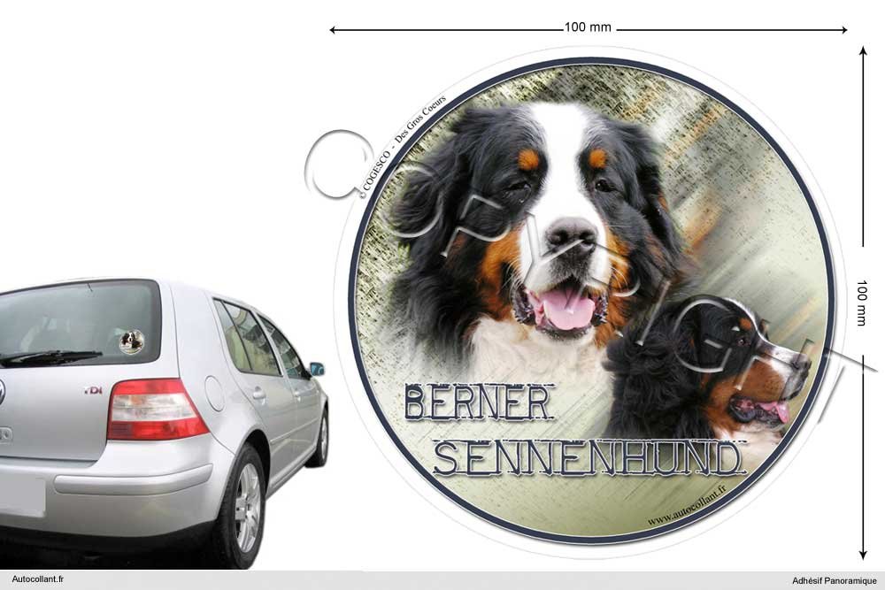 Pets-easy Circular Aufkleber Hund 10 cm Berner Sennenhund von Pets-easy