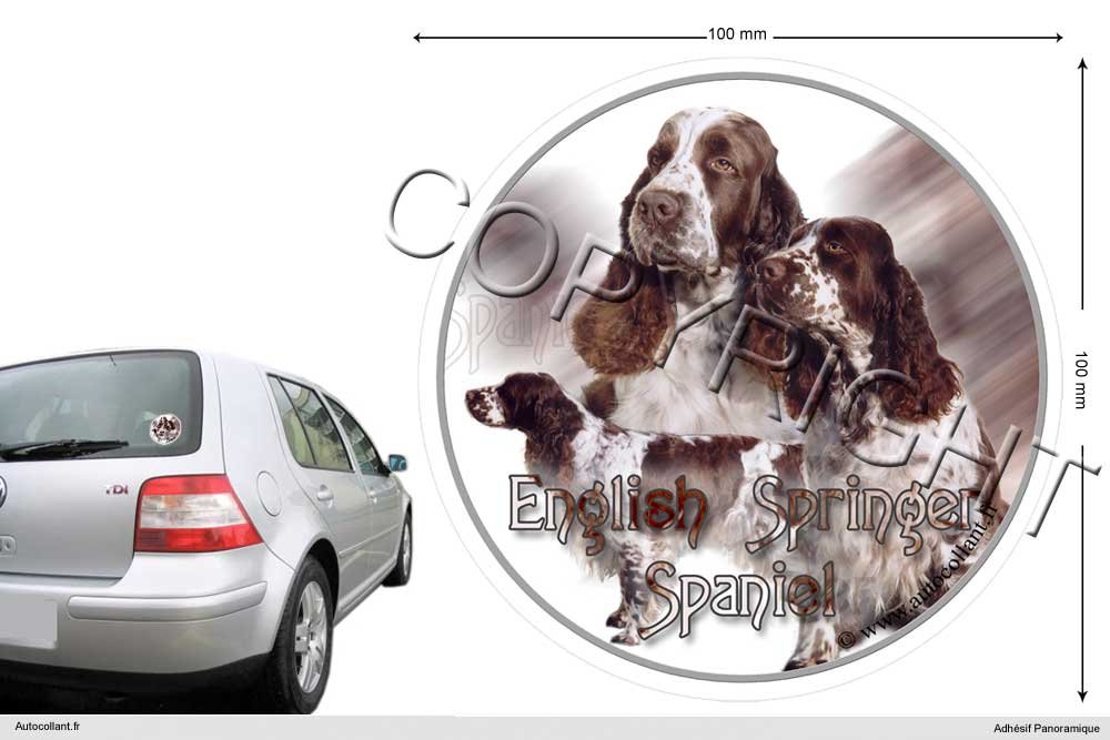 Pets-easy Circular Aufkleber Hund 10 cm English Springer Spaniel Pets-easy Circular Aufkleber Hund 10 cm English Springer Spaniel von Pets-easy