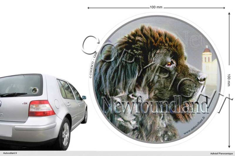 Pets-easy Circular Aufkleber Hund 10 cm Neufundländer von Pets-easy