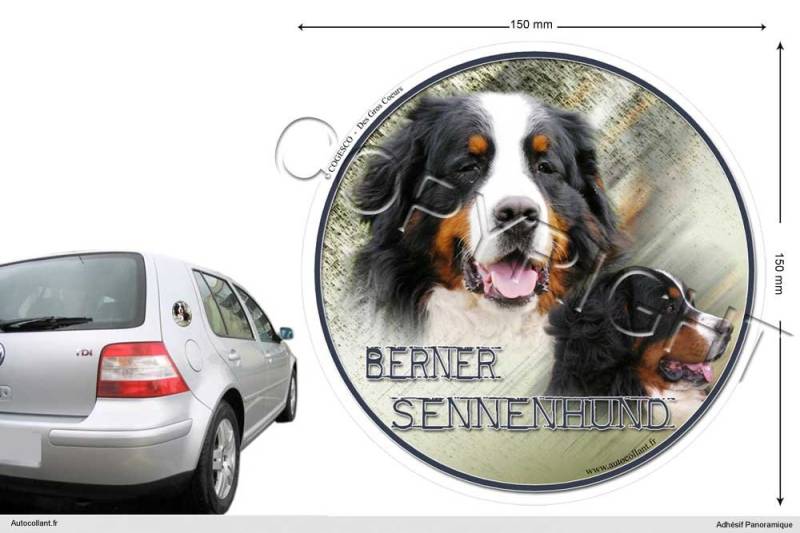 Pets-easy Circular Aufkleber Hund 15 cm Berner Sennenhund von Pets-easy