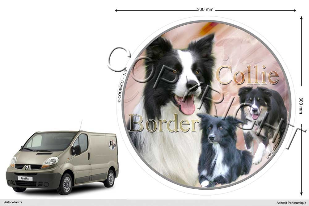 Pets-easy Circular Aufkleber Hund 30 cm Border Collie Pets-easy Circular Aufkleber Hund 30 cm Border Collie von Pets-easy