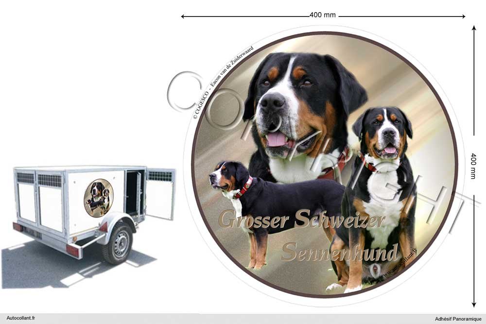 Pets-easy Circular Aufkleber Hund 40 cm Grosser Schweizer Sennenhund von Pets-easy