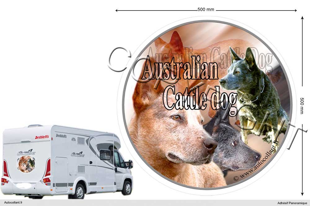 Pets-easy Circular Aufkleber Hund 50 cm Australian Cattle Dog Pets-easy Circular Aufkleber Hund 50 cm Australian Cattle Dog von Pets-easy