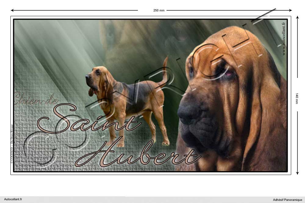 Pets-easy Rechteckige Aufkleber Hund 25 cm Bloodhound von Pets-easy