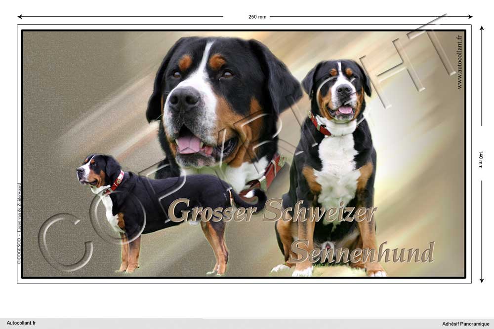 Pets-easy Rechteckige Aufkleber Hund 25 cm Grosser Schweizer Sennenhund von Pets-easy