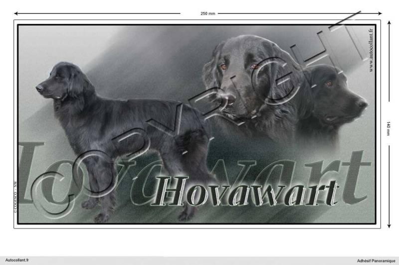 Pets-easy Rechteckige Aufkleber Hund 25 cm Hovawart von Pets-easy