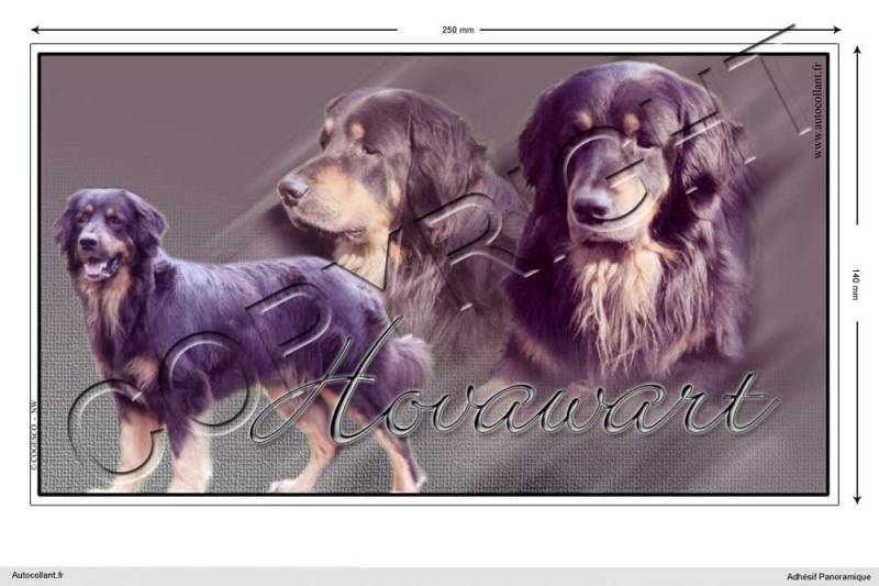 Pets-easy Rechteckige Aufkleber Hund 25 cm Hovawart von Pets-easy