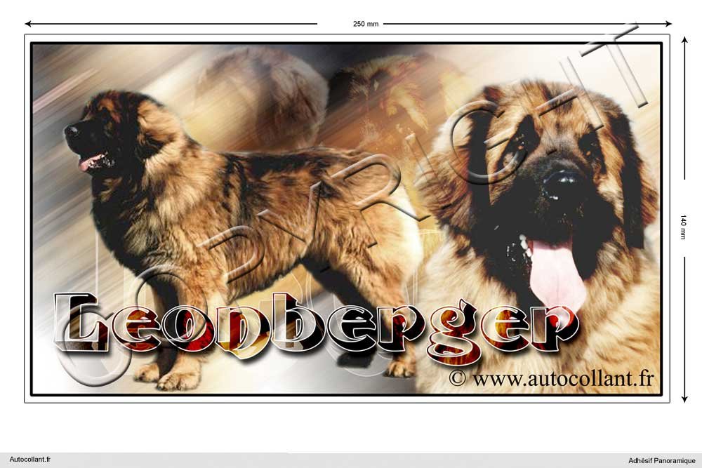 Pets-easy Rechteckige Aufkleber Hund 25 cm Leonberger von Pets-easy