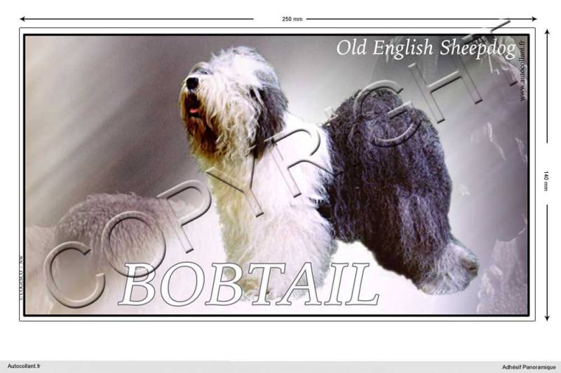Pets-easy Rechteckige Aufkleber Hund 25 cm Old English Sheepdog (Bobtail) von Pets-easy