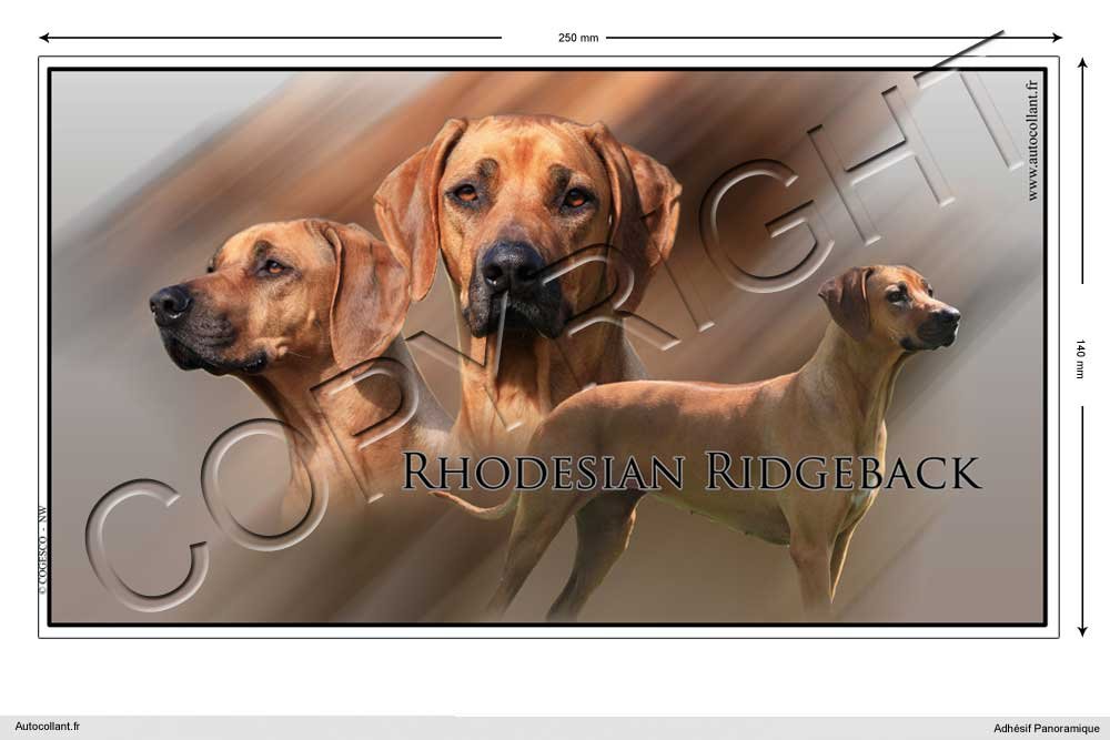 Pets-easy Rechteckige Aufkleber Hund 25 cm Rhodesian Ridgeback von Pets-easy