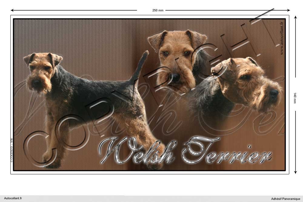 Pets-easy Rechteckige Aufkleber Hund 25 cm Welsh Terrier von Pets-easy
