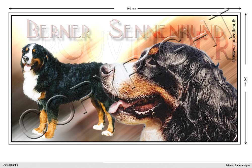 Pets-easy Rechteckige Aufkleber Hund 36cm Berner Sennenhund von Pets-easy