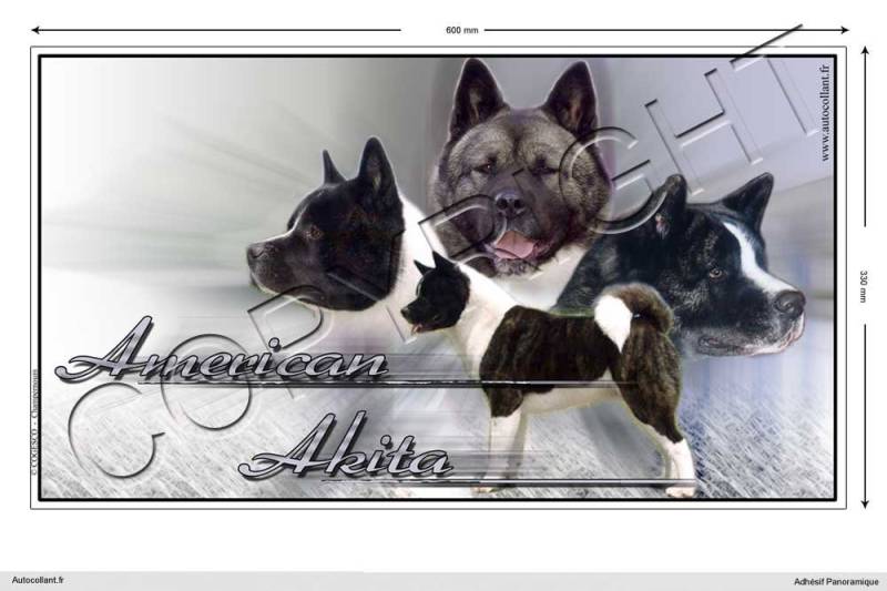 Pets-easy Rechteckige Aufkleber Hund 60cm Amerikanischer Akita von Pets-easy