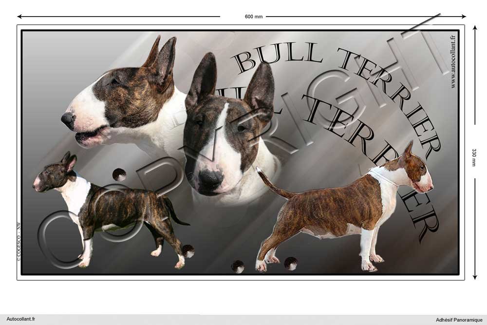 Pets-easy Rechteckige Aufkleber Hund 60cm Bullterrier Pets-easy Rechteckige Aufkleber Hund 60cm Bullterrier von Pets-easy