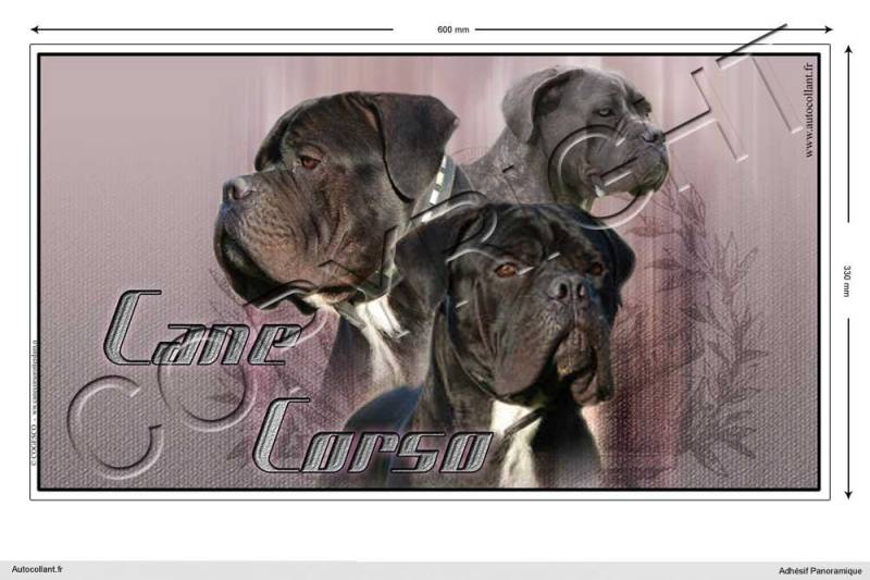 Pets-easy Rechteckige Aufkleber Hund 60cm Cane Corso von Pets-easy