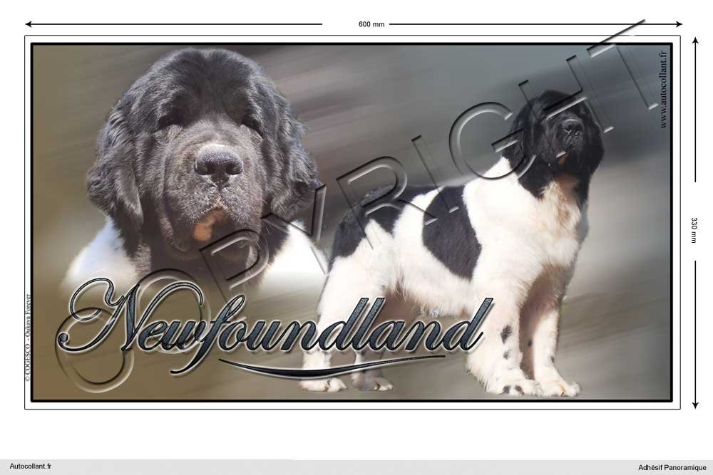 Pets-easy Rechteckige Aufkleber Hund 60cm Neufundländer von Pets-easy