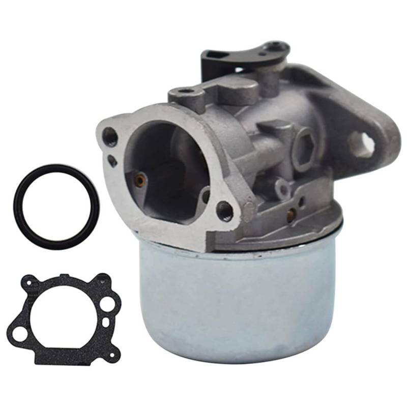 Vergaser kompatibel mit 498170 499617 692648 693909 694202 790120 790821 799868 799872 von Pettaku