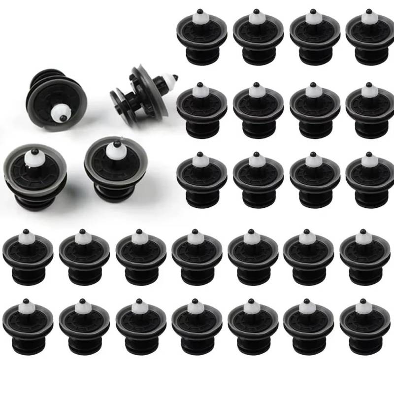 Pfdwmdoi Interieur Zubehör Für A1 8X A4 B8 A5 8T A6 A8 Q3 8U Q5 Q7 4L TT Autotürverkleidungs-Kartenverkleidungsclips Verschlussbefestigung Push-Nieten-Halter Car Interieurleisten(30Piece) von Pfdwmdoi