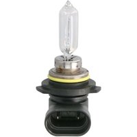 Glühlampe Halogen PHILIPS HIR2 X-tremeVision Pro150 12V, 55W von Philips